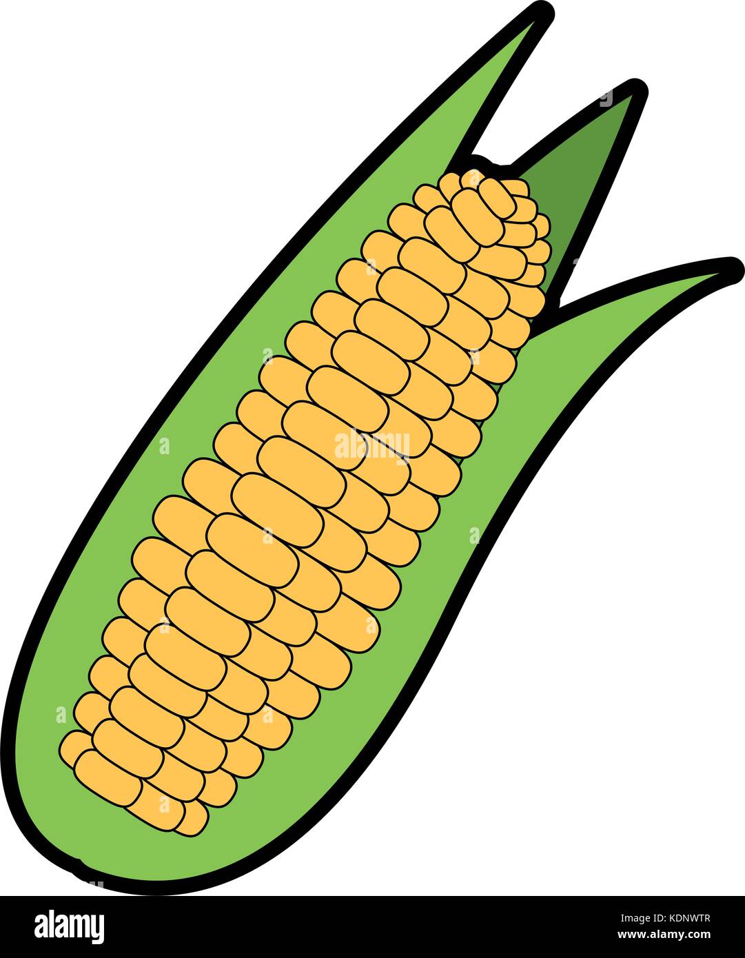 corn fresh vegetable icon Stock Vector Image & Art - Alamy
