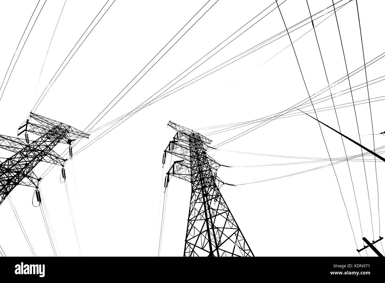 Power Line on White Background Stock Photo Alamy