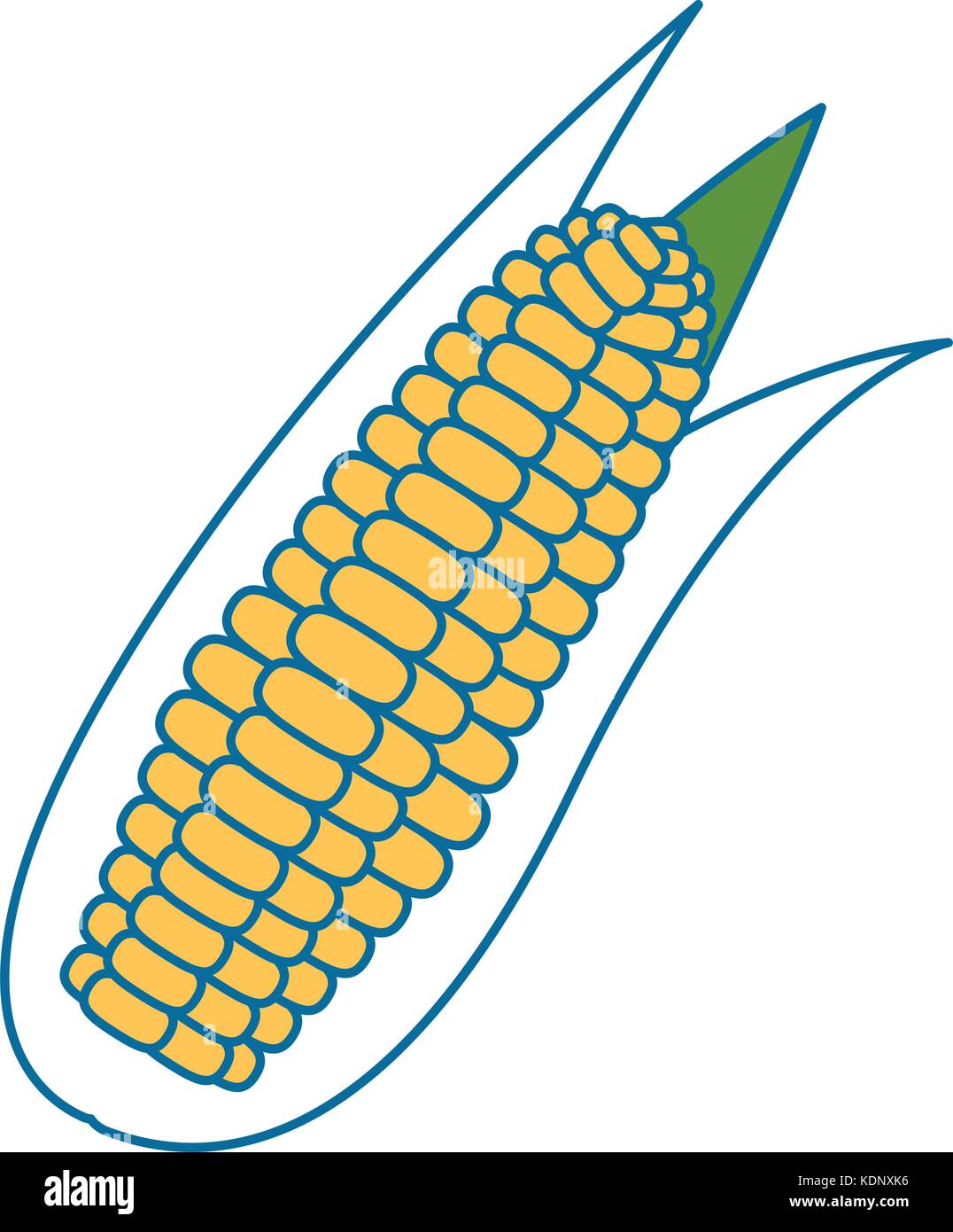 corn fresh vegetable icon Stock Vector Image & Art - Alamy