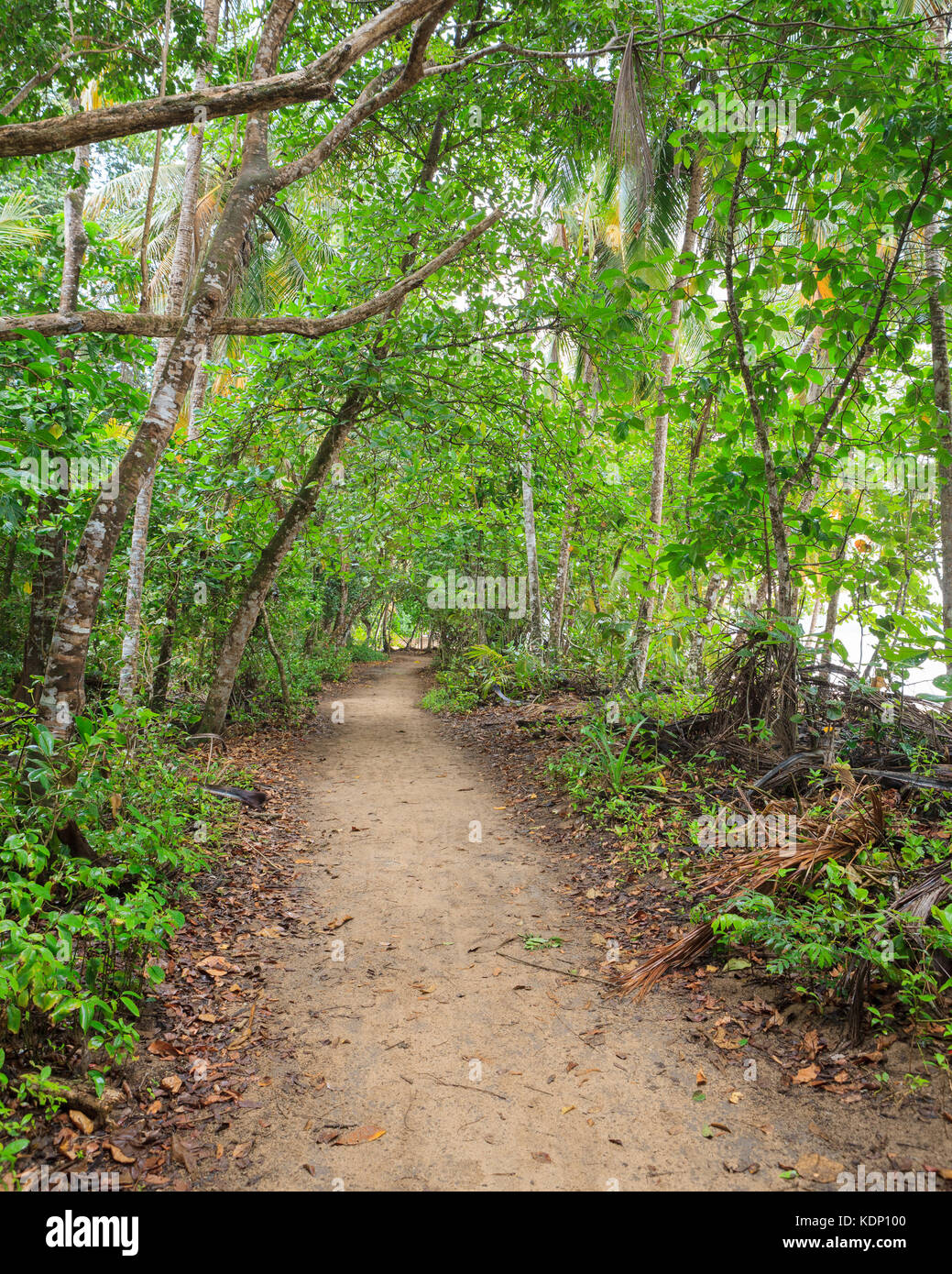 small road motorcycle