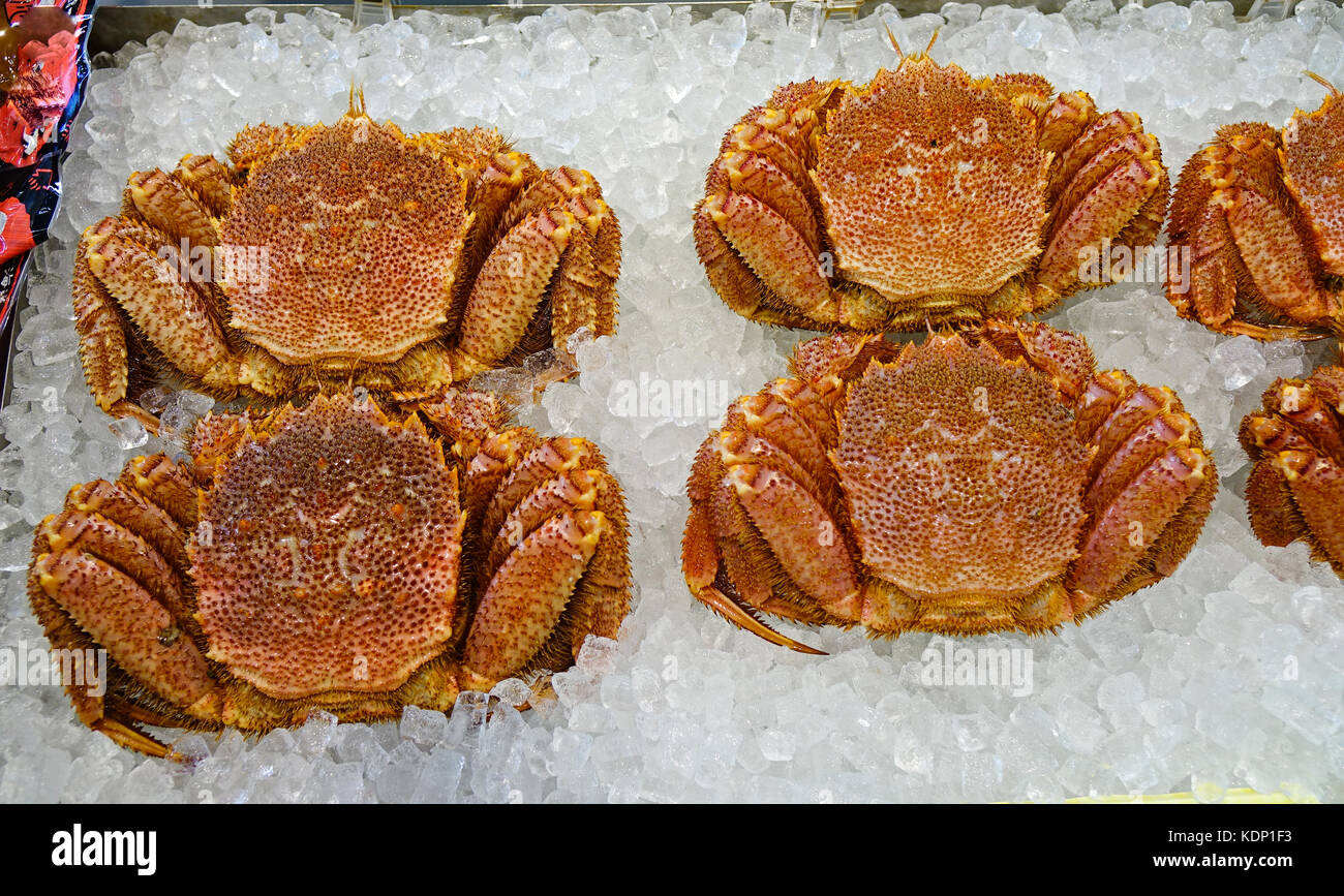 Hakodate hokkaido seafood japan crab hires stock photography and