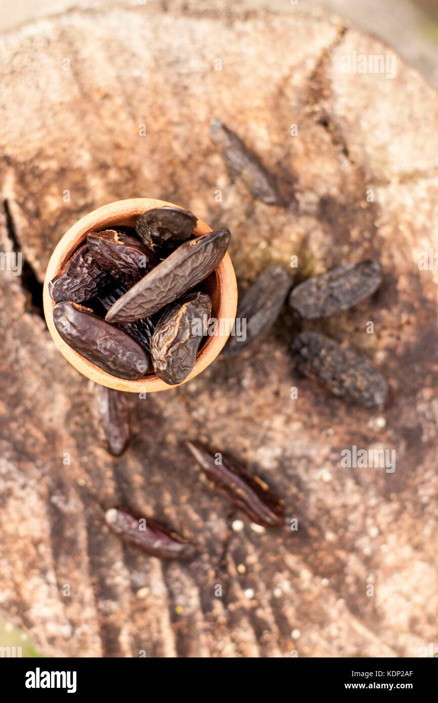 Cumaru beans over rustic wood background Stock Photo