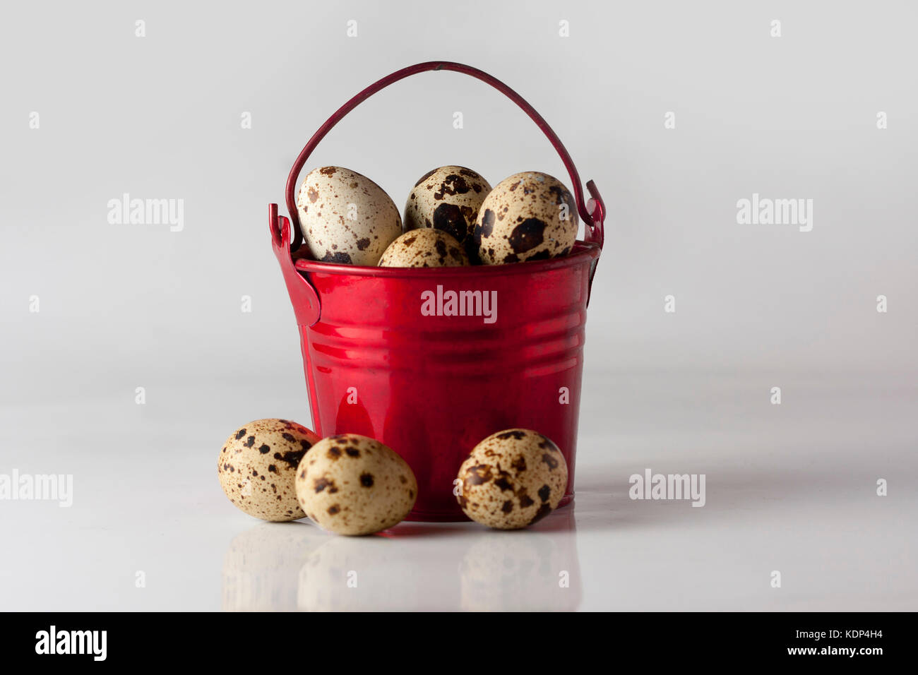 Small red pail with partridge eggs on the white background Stock Photo
