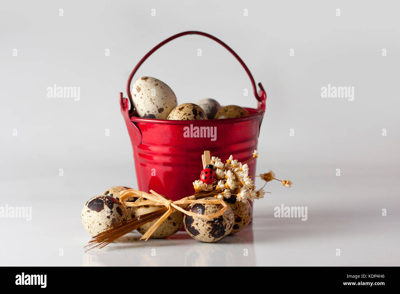 Small red pail with partridge eggs on the white background Stock Photo