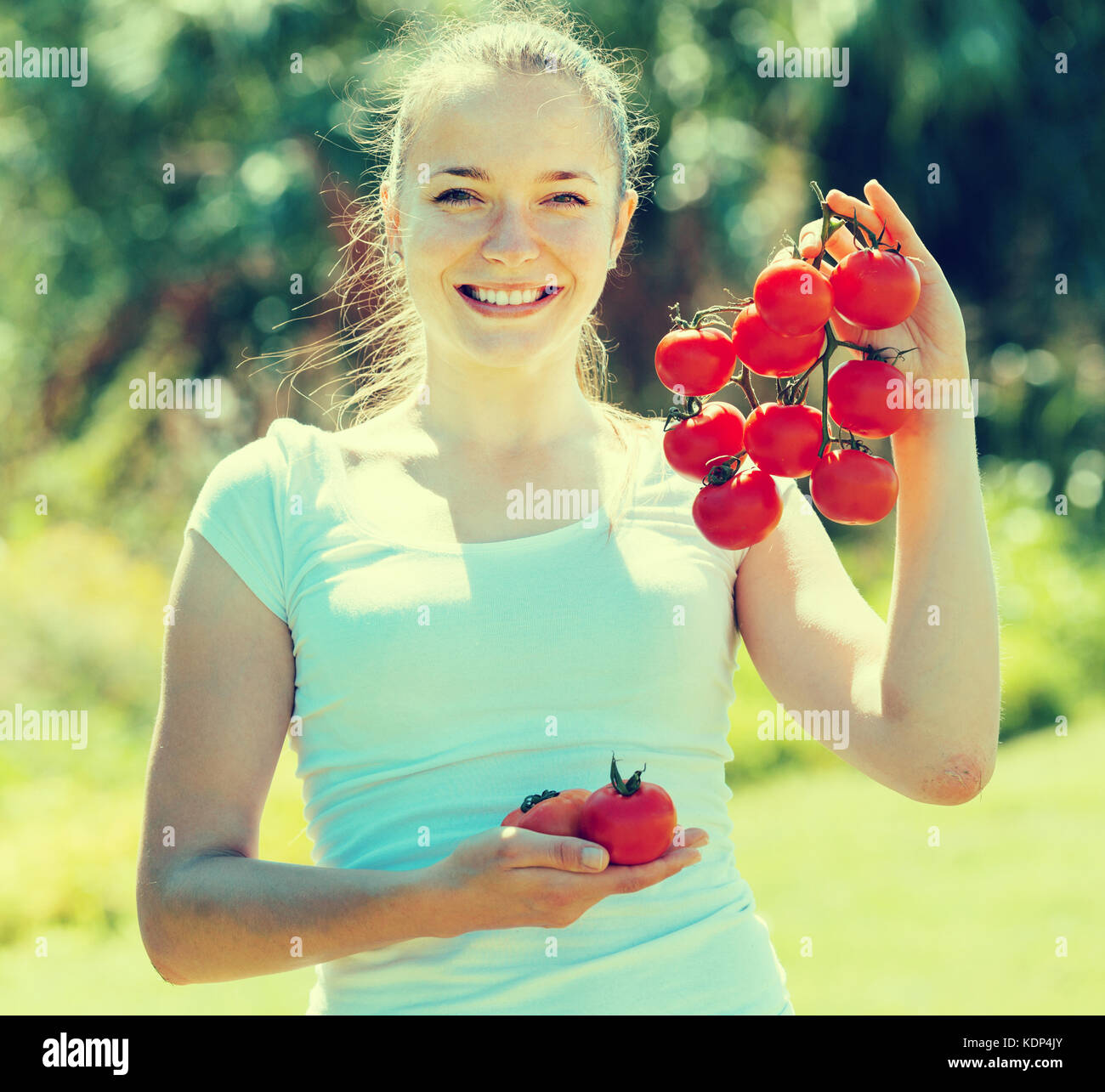 Young woman with harvested tomato in garden Stock Photo - Alamy