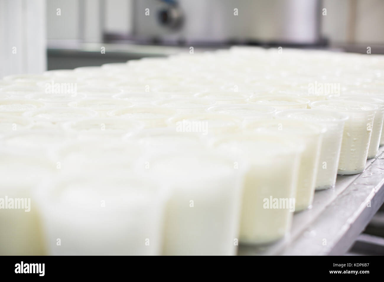Close Up View On Many Freshly Made Cottage Cheese In Plastic
