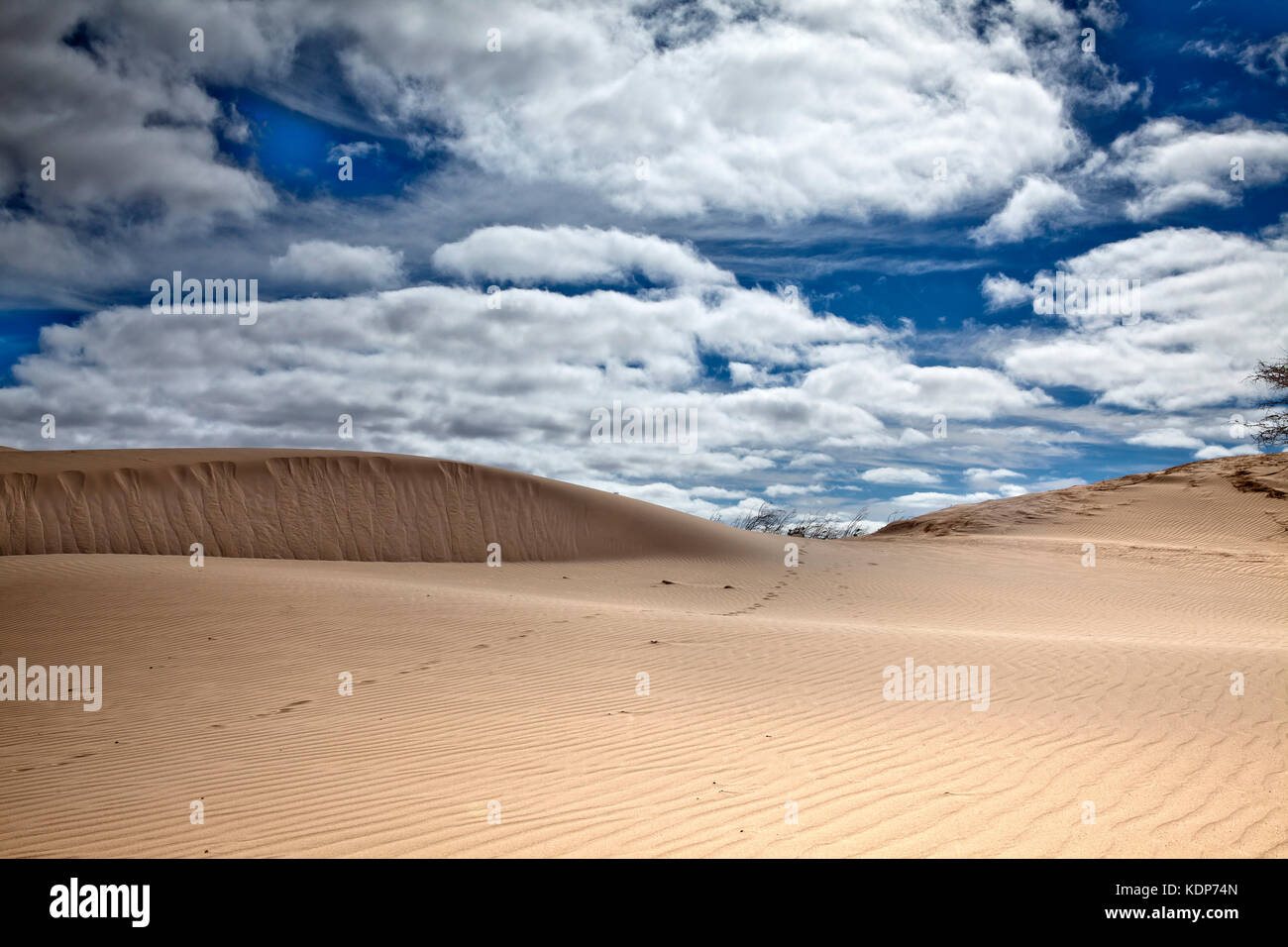 View of the desert Sand Dunes at Cape Verde on a sunny day Stock Photo