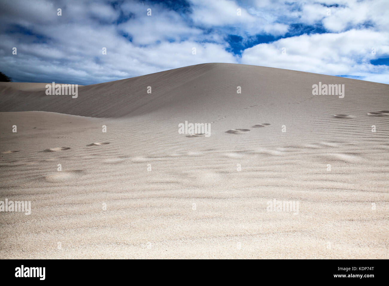 View of the desert Sand Dunes at Cape Verde on a sunny day Stock Photo