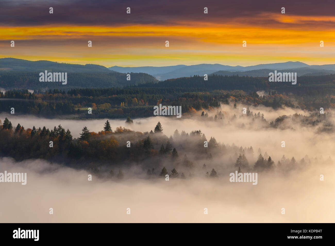Rolling fog along Sandy River Valley in Clackamas County Oregon during sunrise Stock Photo