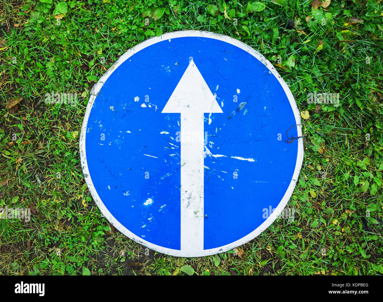 Ahead only, round blue road sign with white directional arrow lays on green grass, top view Stock Photo