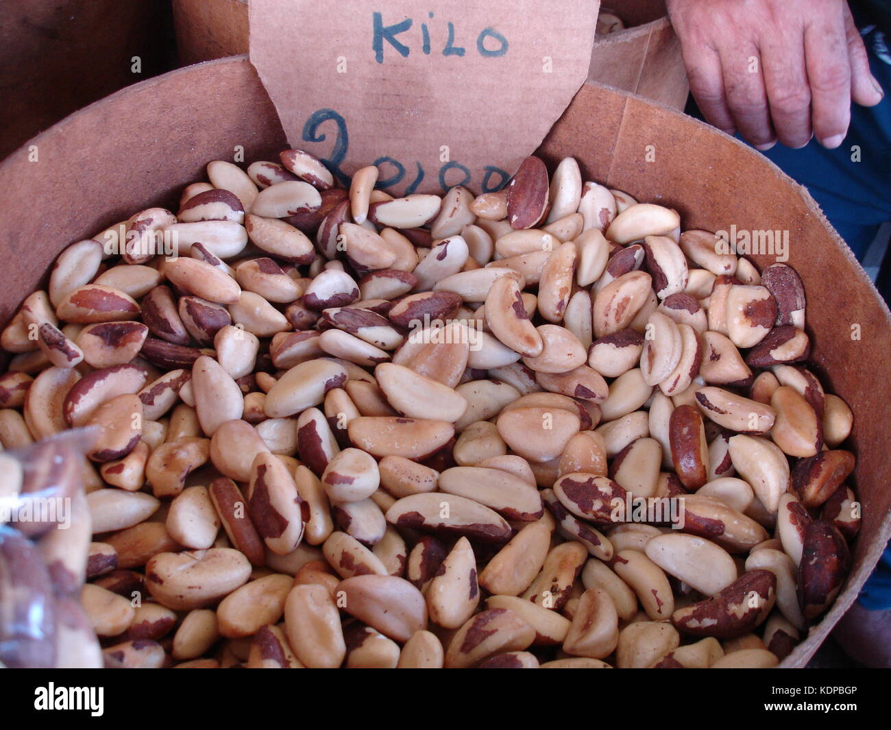 Large brazilian nuts being sold at ver o peso market in Belem, Brazil