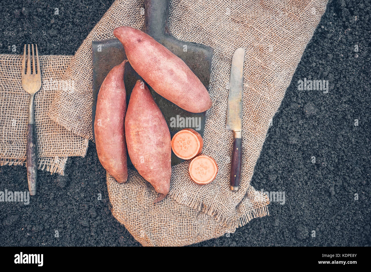 Tubers Plant Stock Photos Amp Tubers Plant Stock Images Alamy