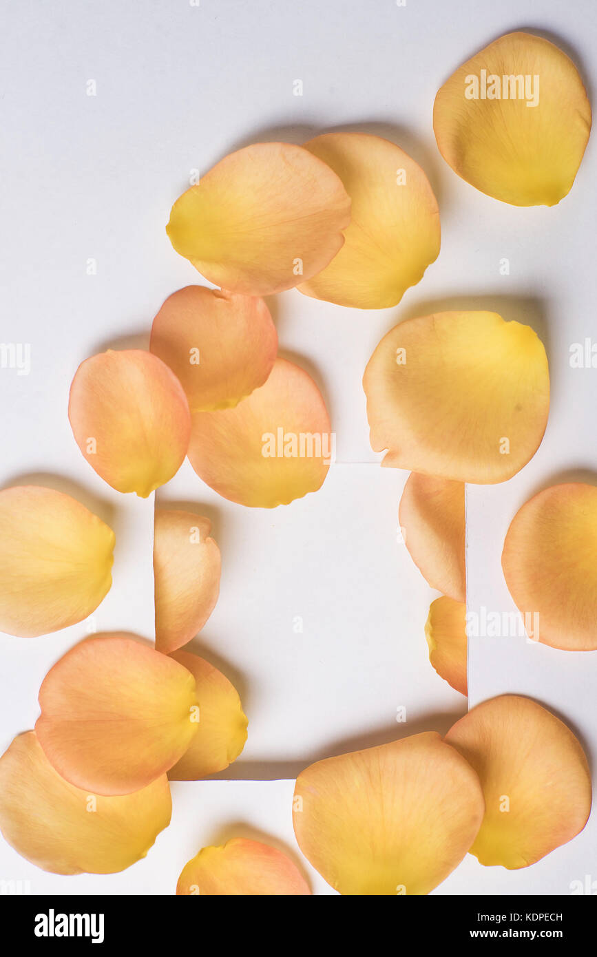 background of orange rose petals Stock Photo - Alamy