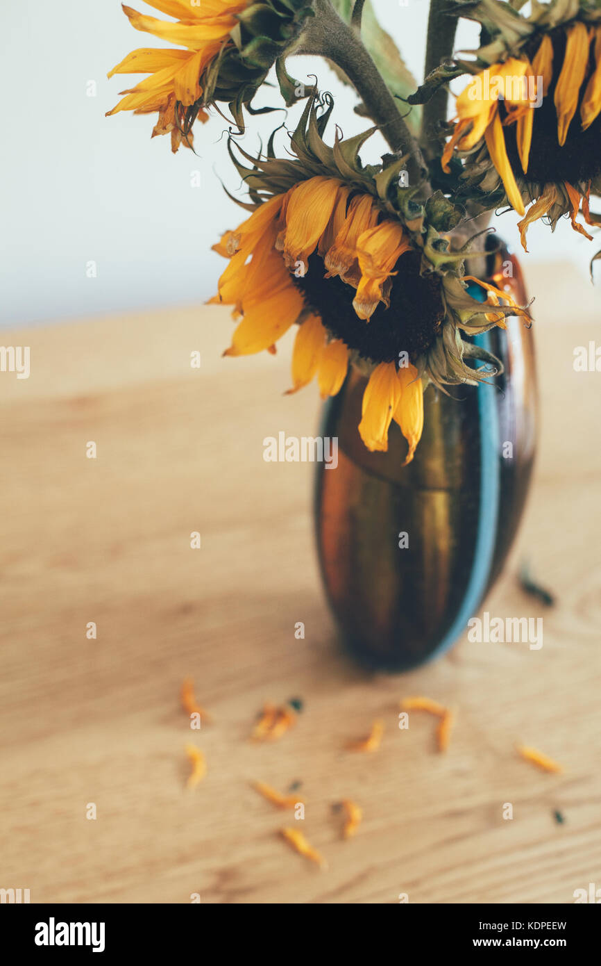 Dying flowers hires stock photography and images Alamy