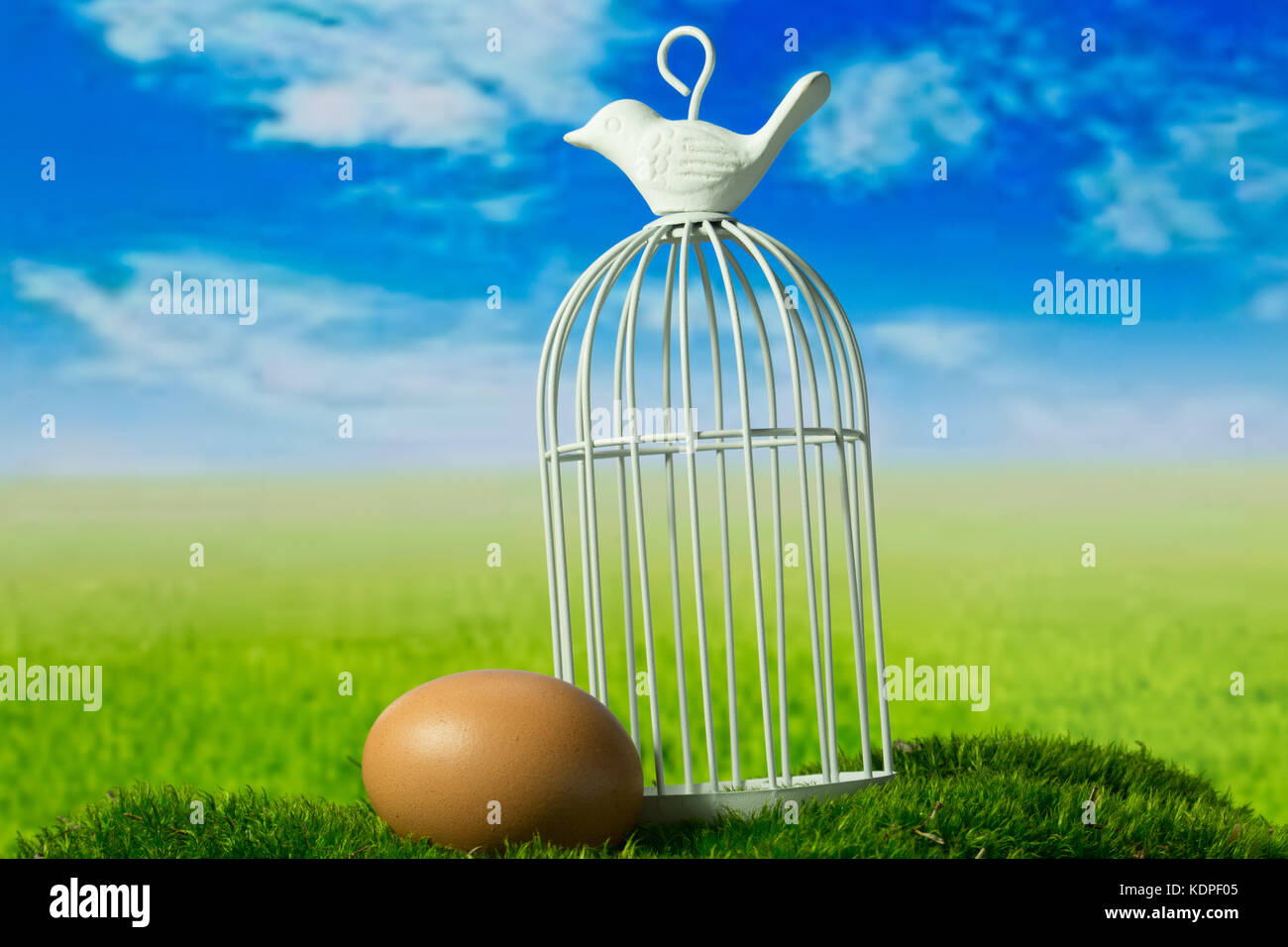 Egg and birdcage on the green fantasy meadow Stock Photo