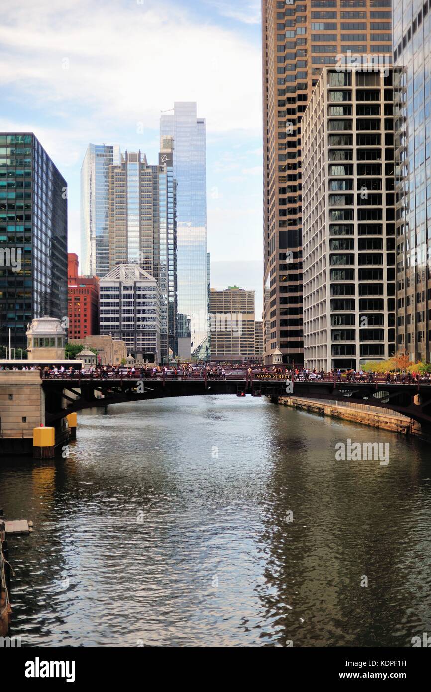 south branch chicago il