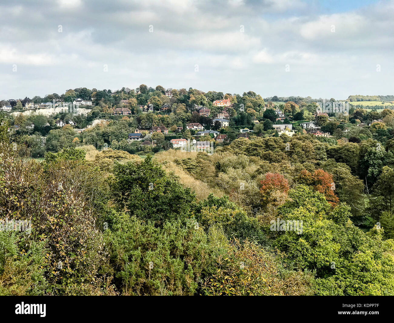 Shalford hires stock photography and images Alamy