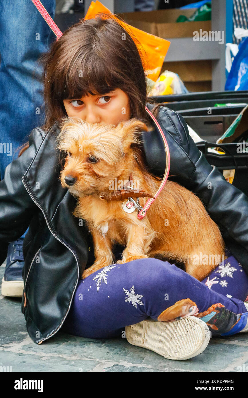 Glasgow, Scotland, UK. 15th October, 2017. The Sunday Barra's Art and Design (BAaD) venue in Glasgow's famous Barras flea market hosted their first ever dog show with 100s of dogs and their loving owners turning up to celebrate Glasgow's love for pooches great and small, a pedigree or just a mutt. Prizes were given to competitions including best bark, best fancy dress, best loved and best rescue dog. OLIWIA AHMED aged 8 from Glasgow is with her 4 month old CHORKIE (a cross between a Chihuahua and a Yorkie) called Coco. Credit: Findlay/Alamy Live News Stock Photo