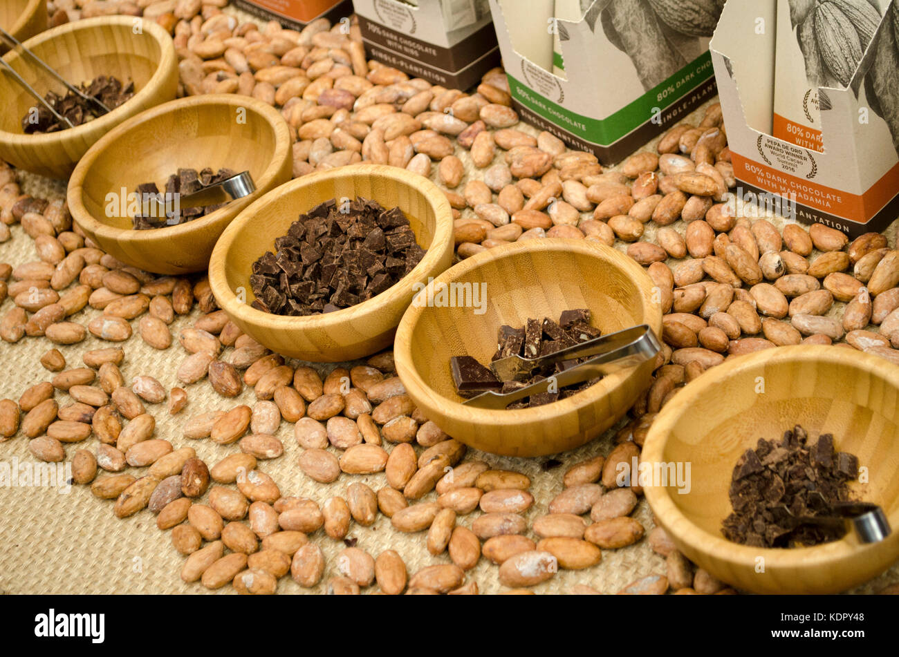 Ecuadorian chocolate samples at the Chocolate Show 2017. Chocolate fans descended en masse for The Chocolate Show, 13th-15th October 2017, at Olympia, London, UK, which ended today. Featuring a wide range of exhibitors selling everything chocolate from around the world, tastings, demonstrations by leading chefs and chocolatiers, and chocolate art and fashion displays, the show experienced high visitor numbers across all three days. 15th October 2017. Credit: Antony Nettle/Alamy Live News Stock Photo