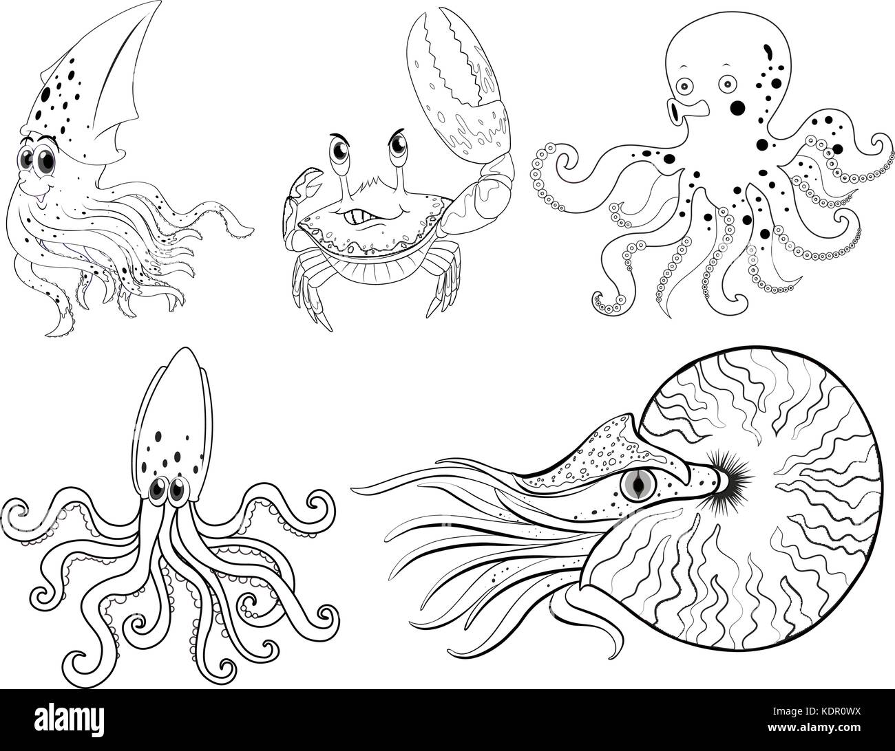 Sea Life Outlines