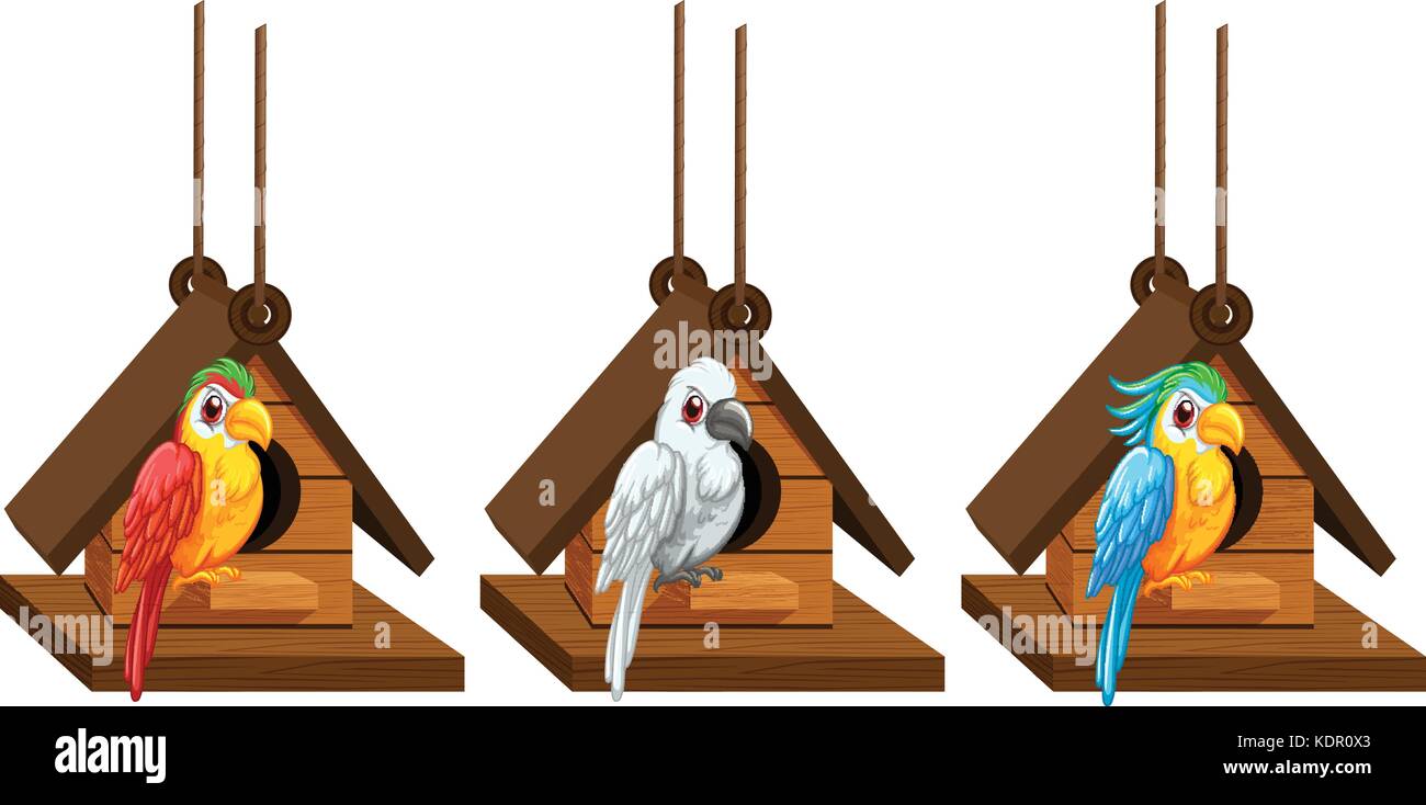 Colored Macaw Birdhouse Exhaust Fan For Furniture Design