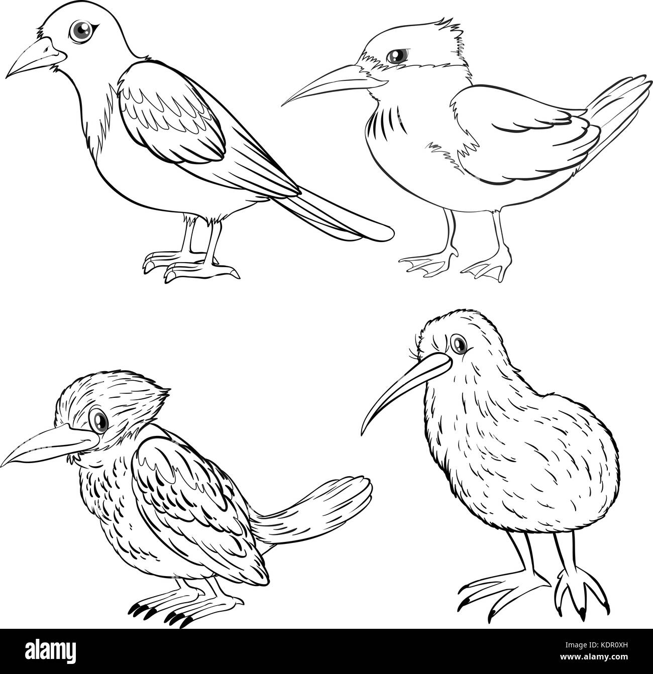 Animal outline for four kinds of birds illustration Stock Vector