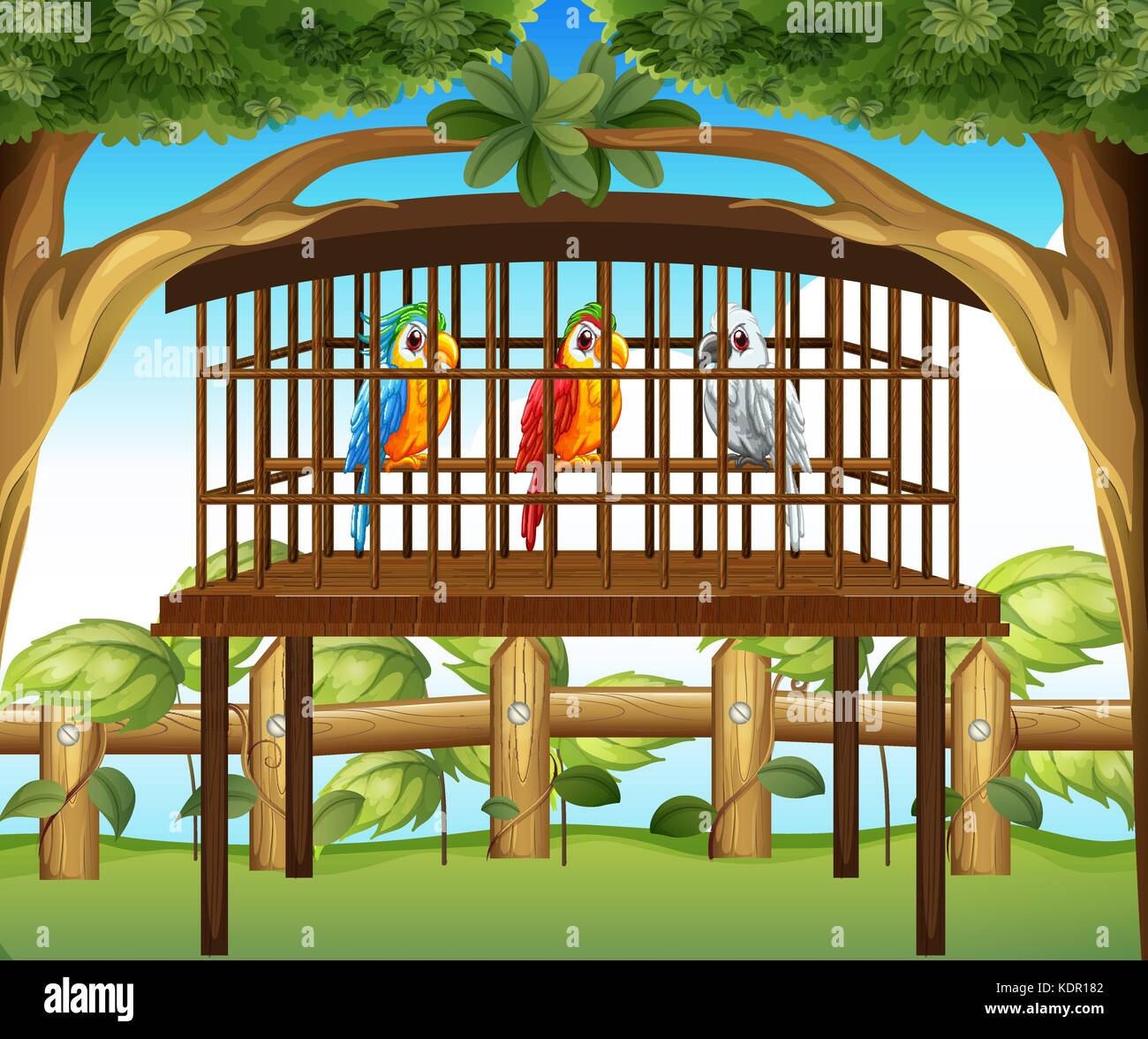 View of Macaw parrots in wooden cage illustration Stock Vector Image & Art - Alamy