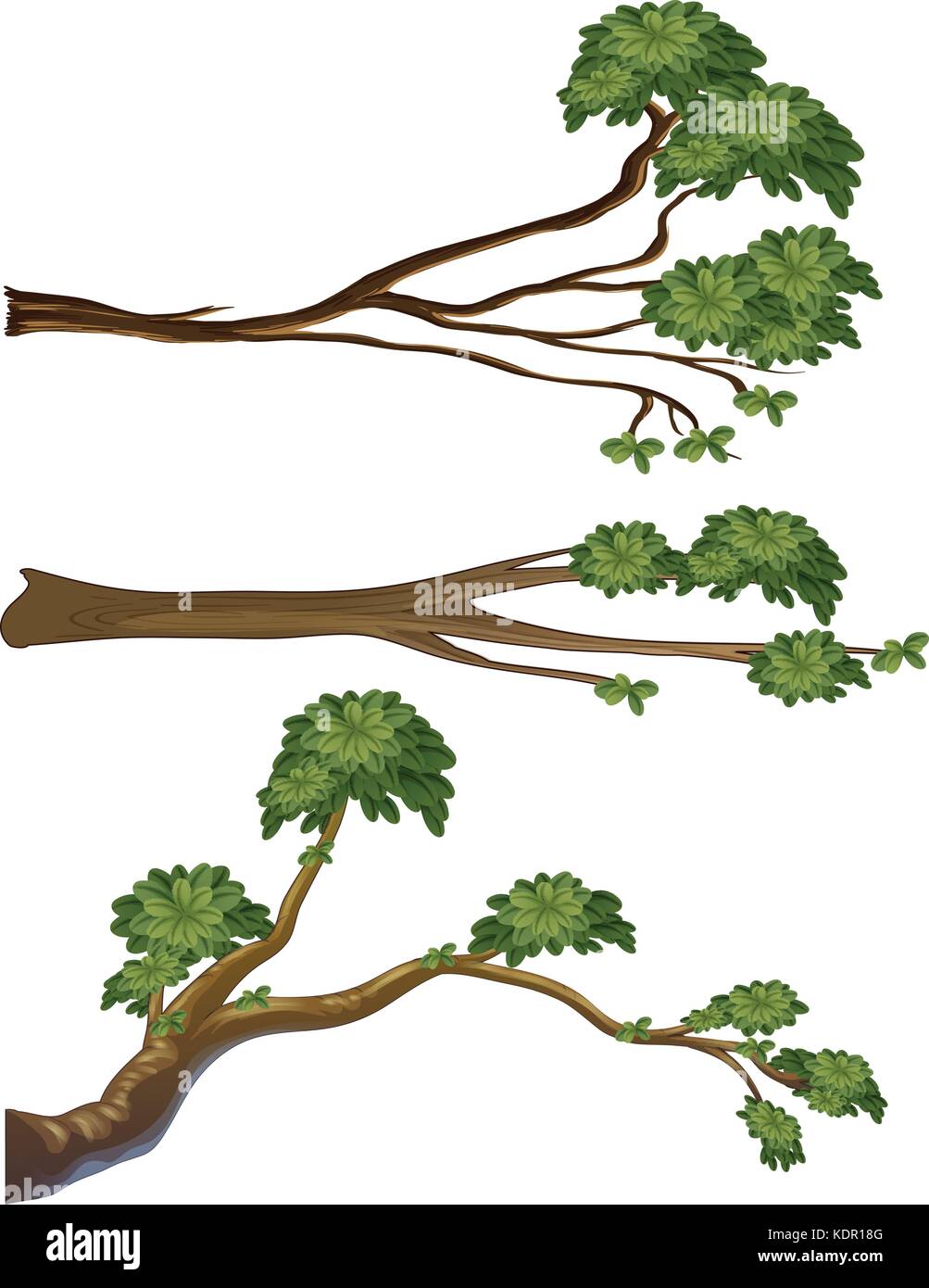 Different shapes of branches illustration Stock Vector Image & Art - Alamy