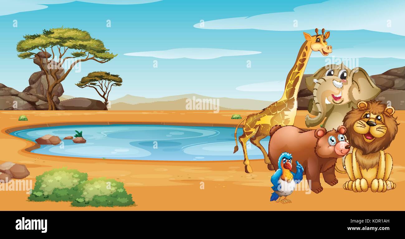 Wild animals by the pond illustration Stock Vector Image & Art - Alamy