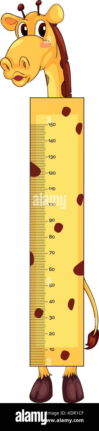 Height measurement chart with giraffe character illustration Stock