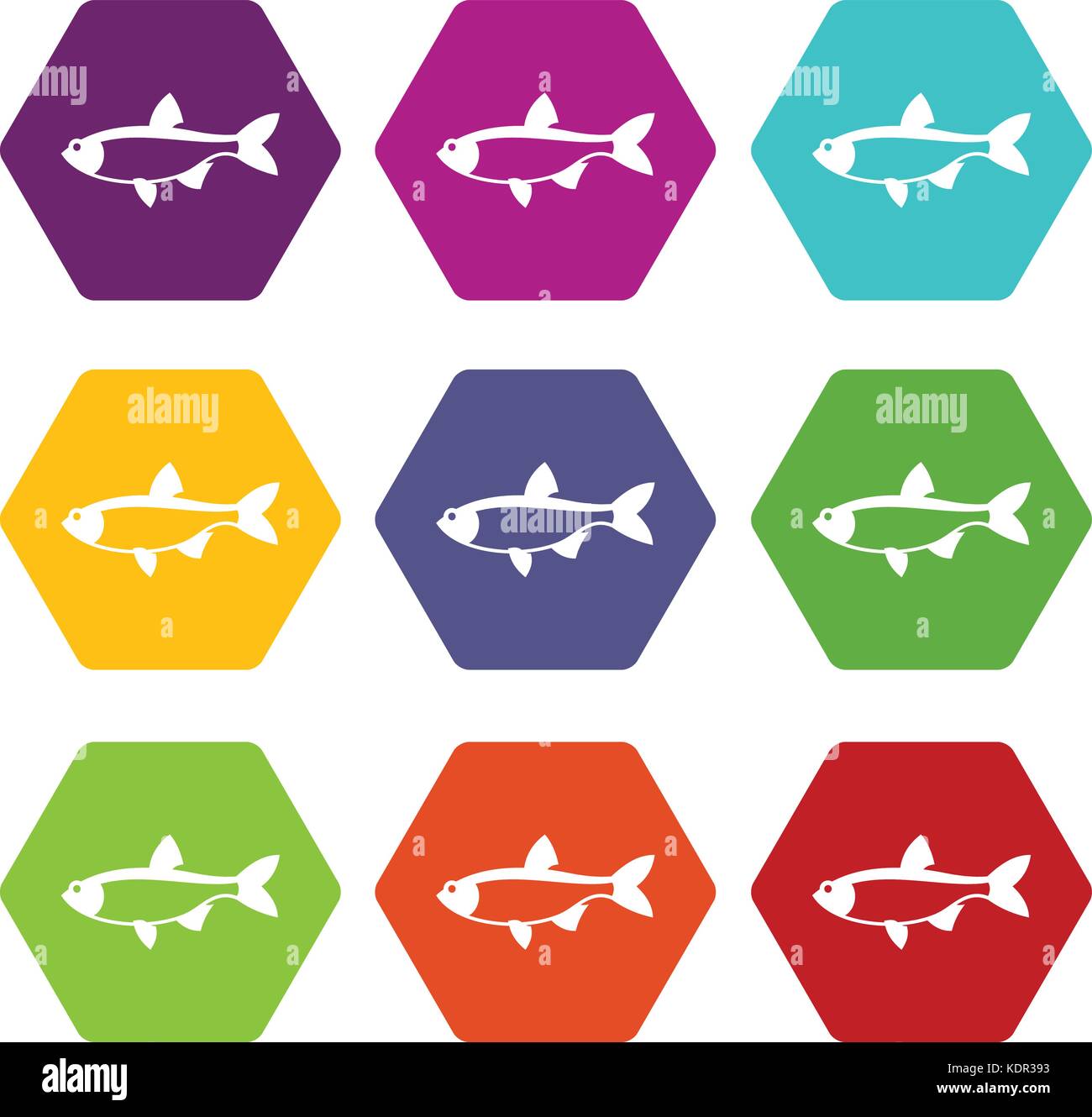 Rudd fish icon set color hexahedron Stock Vector