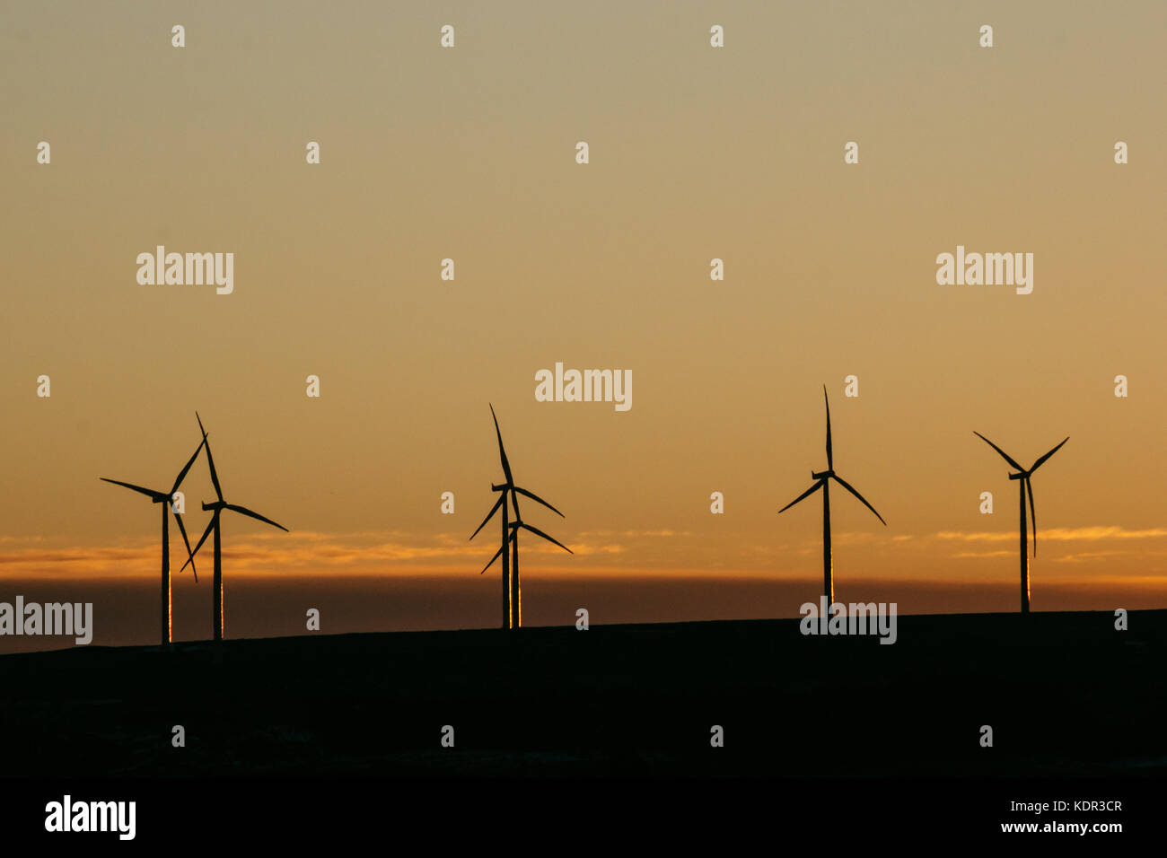 Wind turbines on a hill at sunset Stock Photo - Alamy