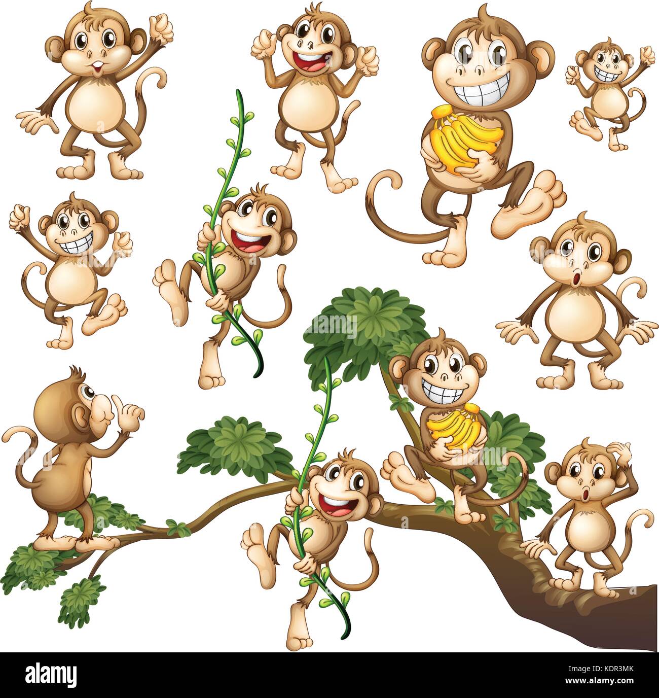Wild monkeys in different actions illustration Stock Vector Image & Art ...