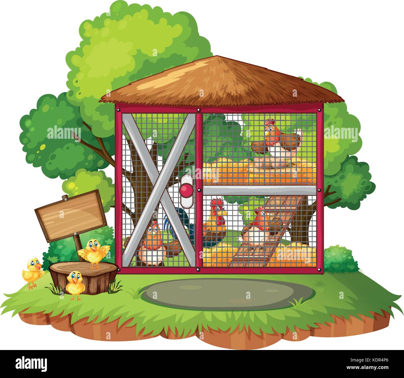 Many chickens in the coop illustration Stock Vector Image & Art Alamy