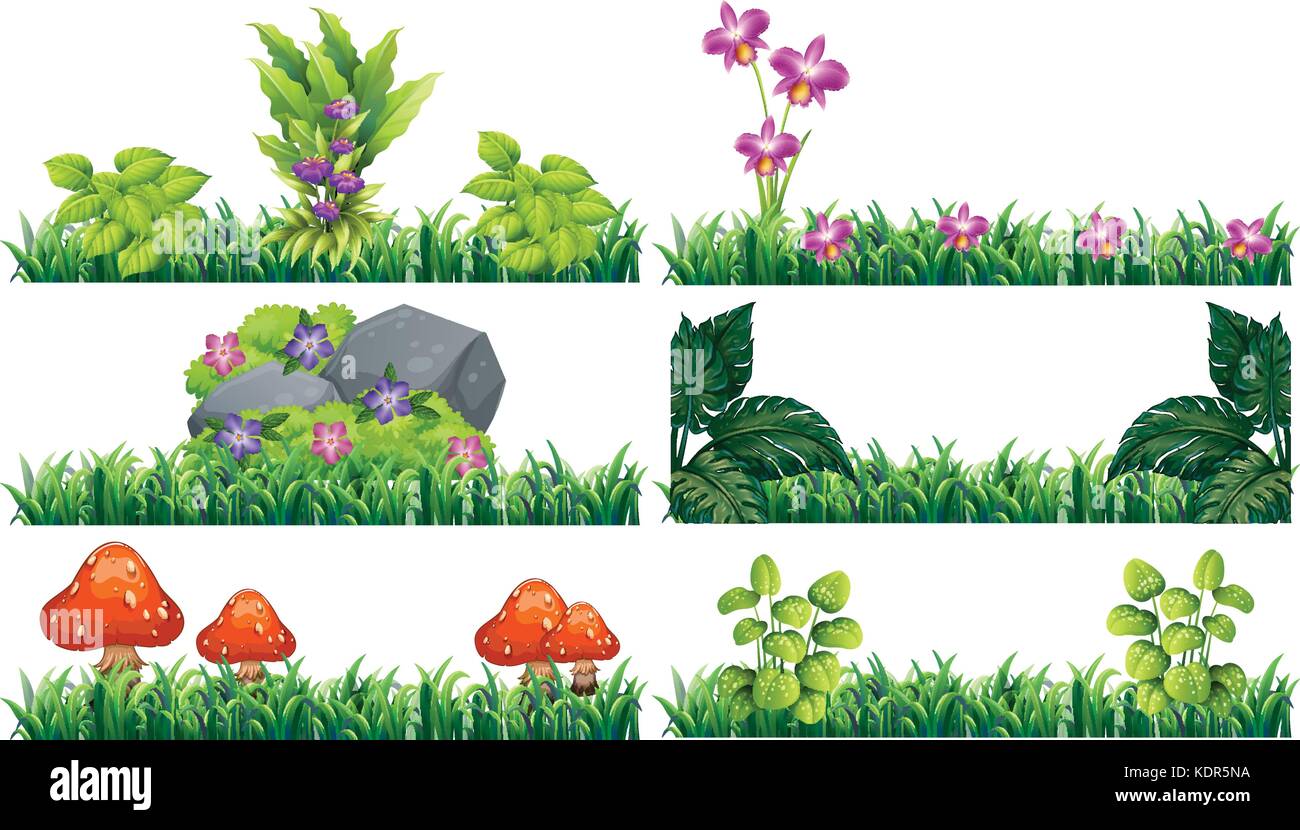 Seamless background with flowers in garden illustration Stock Vector ...