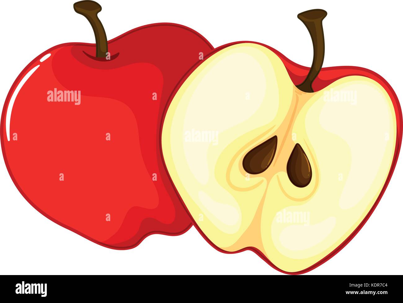 Red Apple Cut In Half Illustration Stock Vector Image Art Alamy