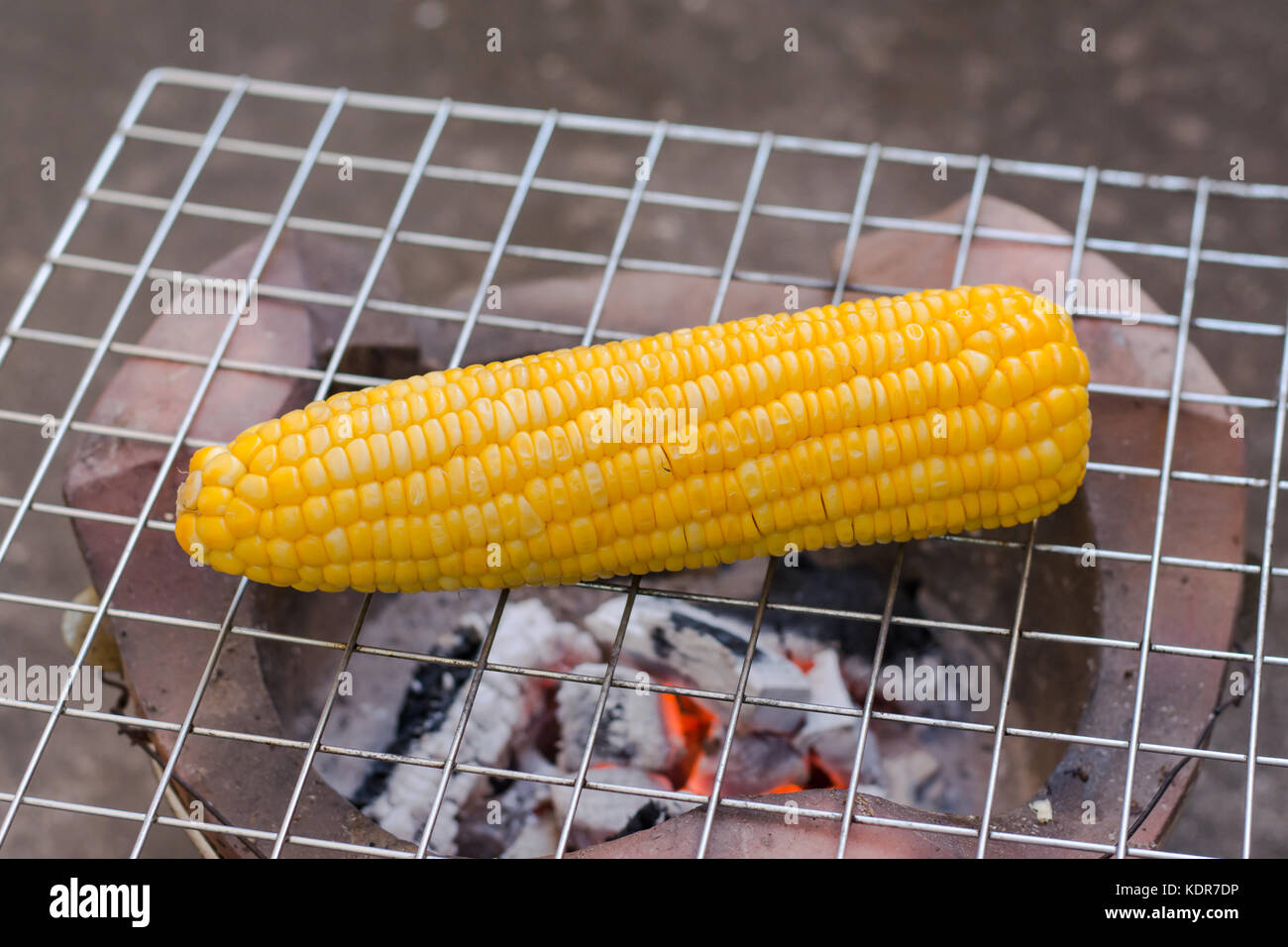 Cooking several fresh yellow brown golden corn cobs Stock Photo - Alamy