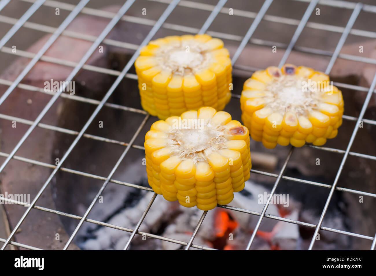 Cooking several fresh yellow brown golden corn cobs Stock Photo - Alamy