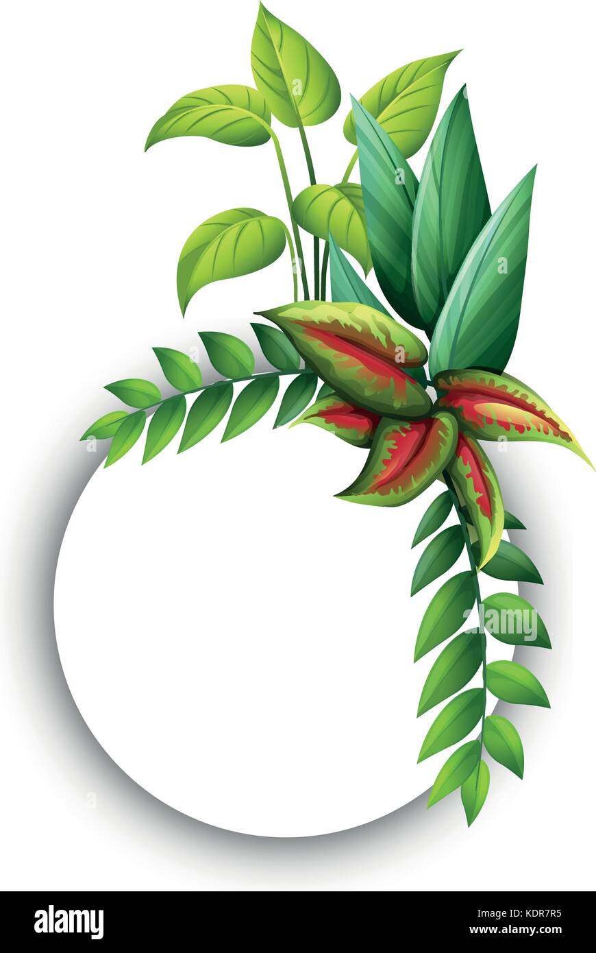 Border template with green leaves illustration Stock Vector Image & Art ...