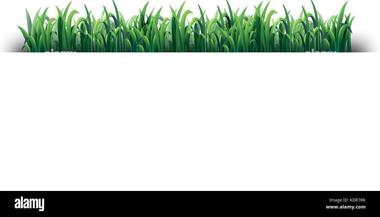 Seamless design with green grass illustration Stock Vector Image & Art ...