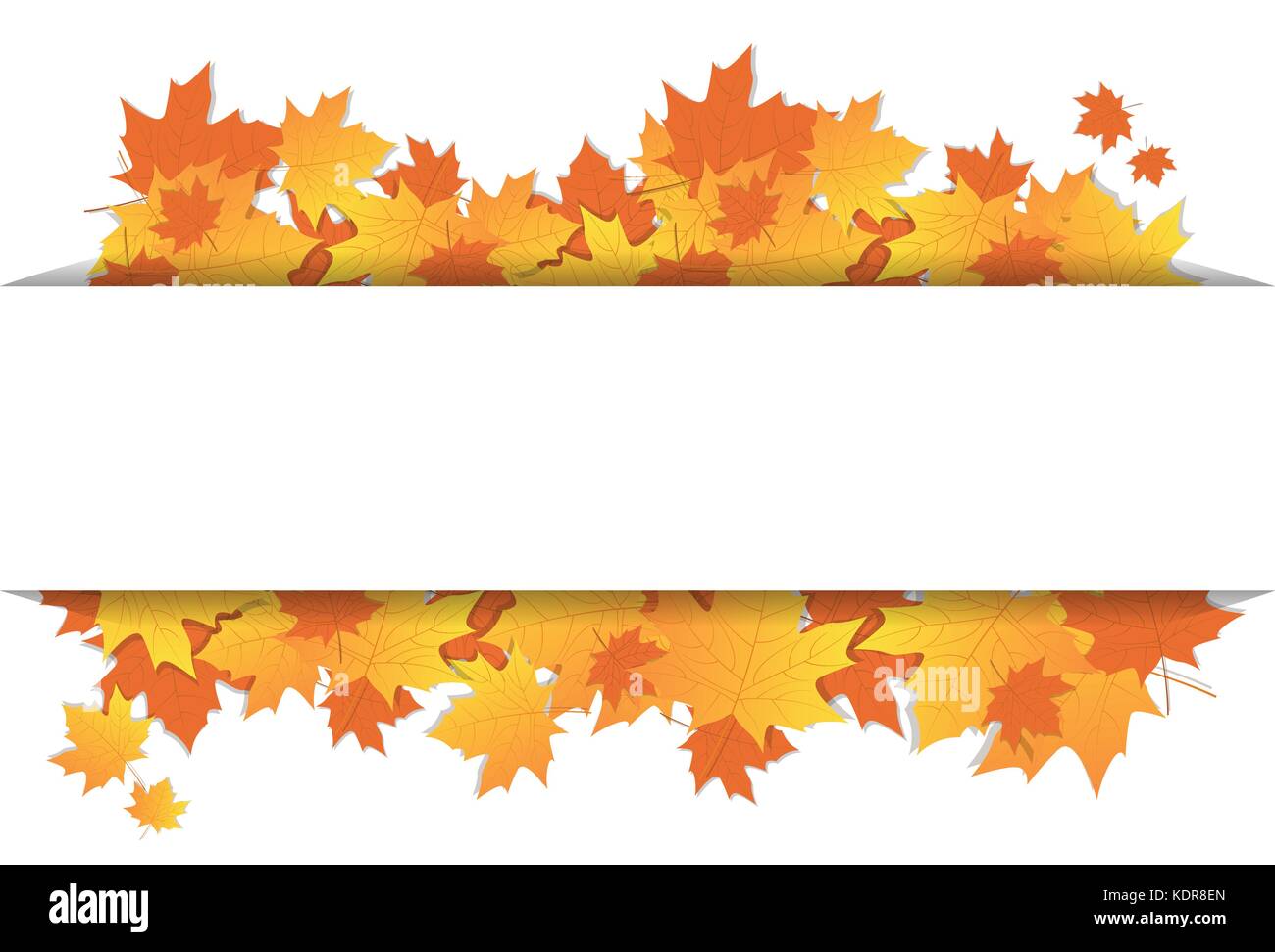 Autumn Leaves Frame On Banner With Copy Space Colorful Maple Ornament ...