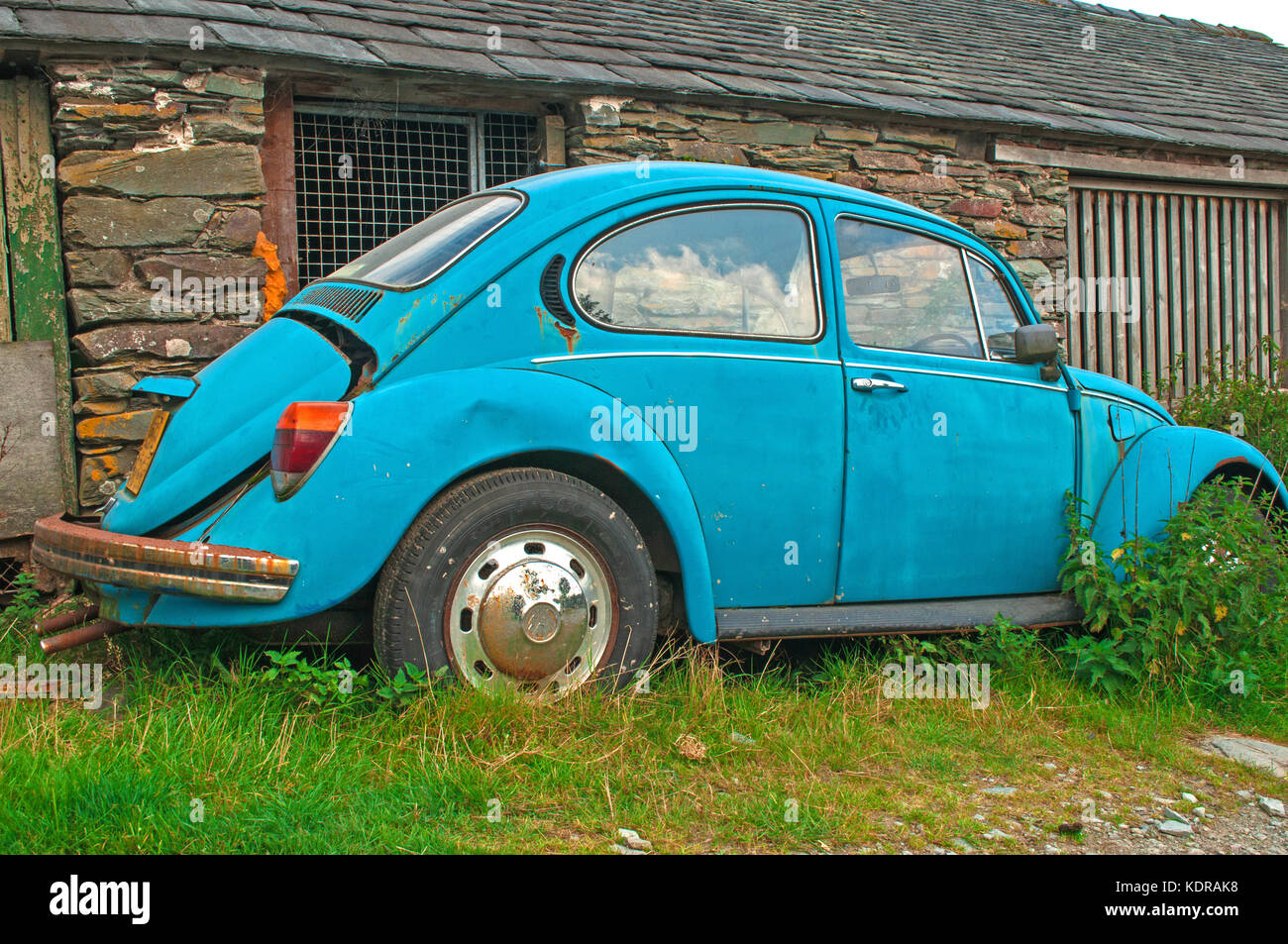 Old abandoned Volkswagen Beetle Car outside barn Stock Photo