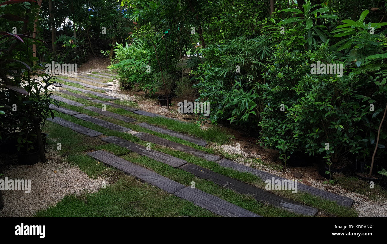 Green park with beautiful walkway Stock Photo - Alamy