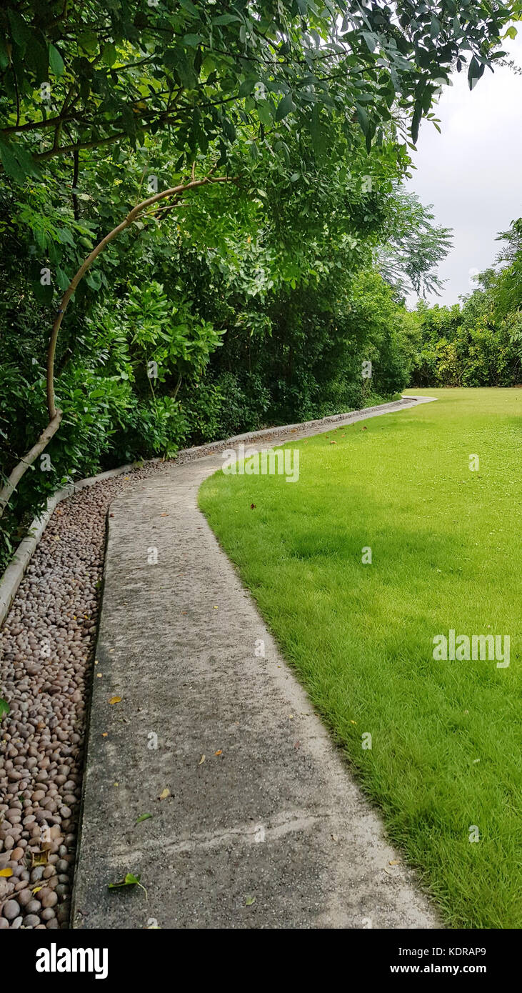 Green park with beautiful walkway Stock Photo - Alamy