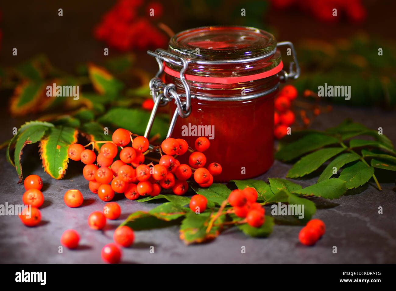 Rowan Berry Jelly made in Autumn Stock Photo Alamy