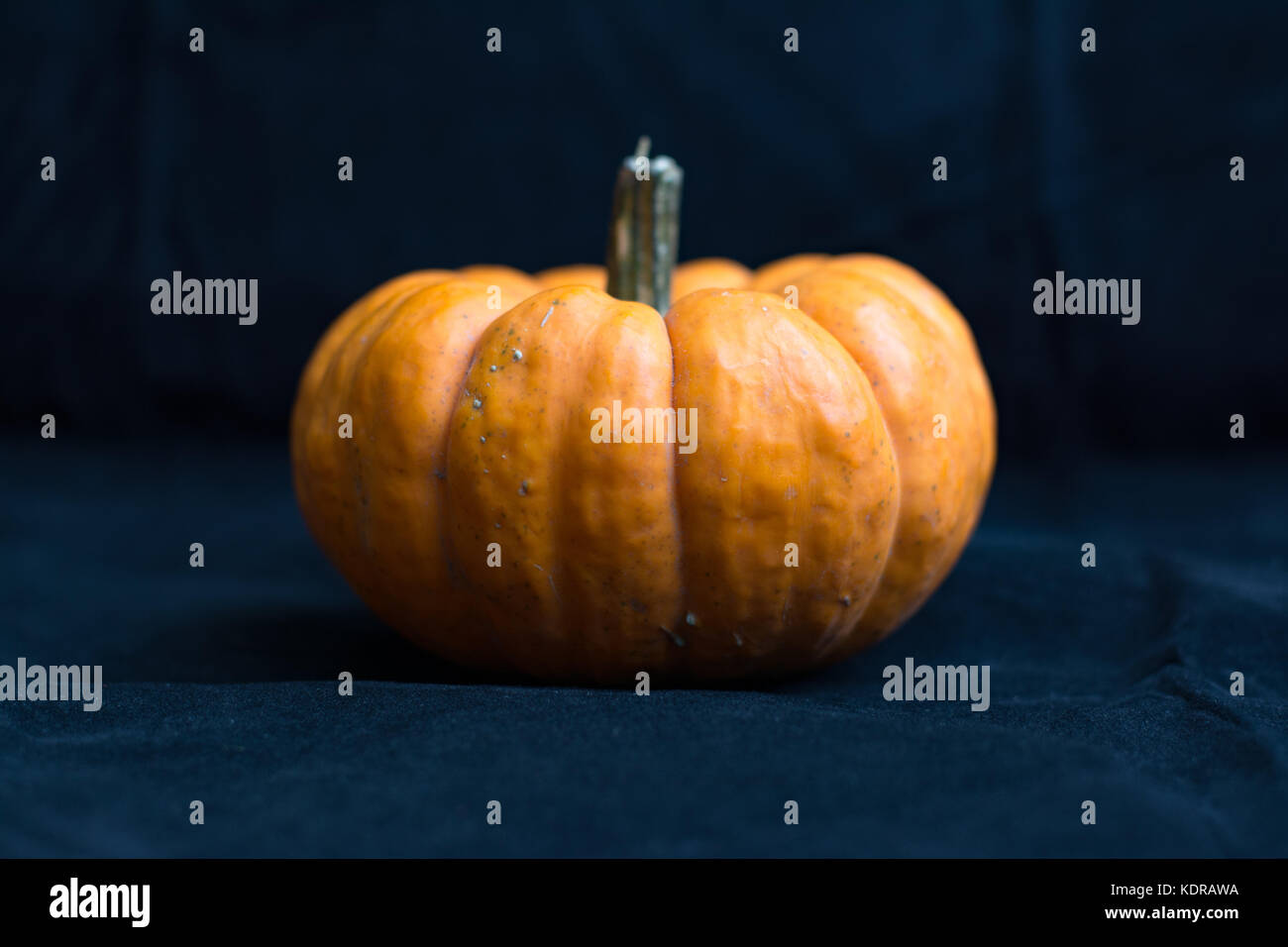 Miniature pumpkin with black background copy space Stock Photo - Alamy