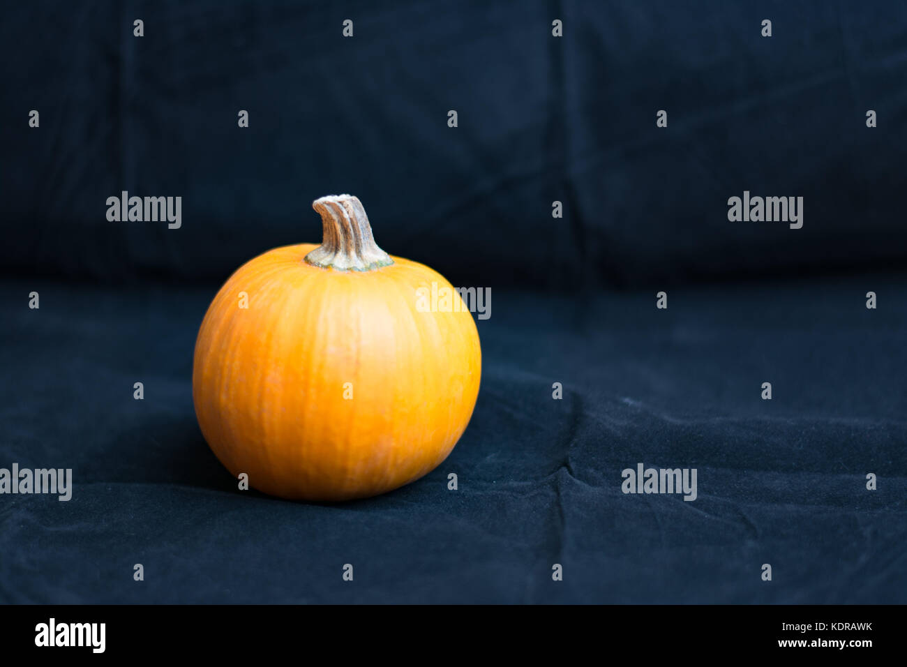 Miniature pumpkin with black background copy space Stock Photo - Alamy