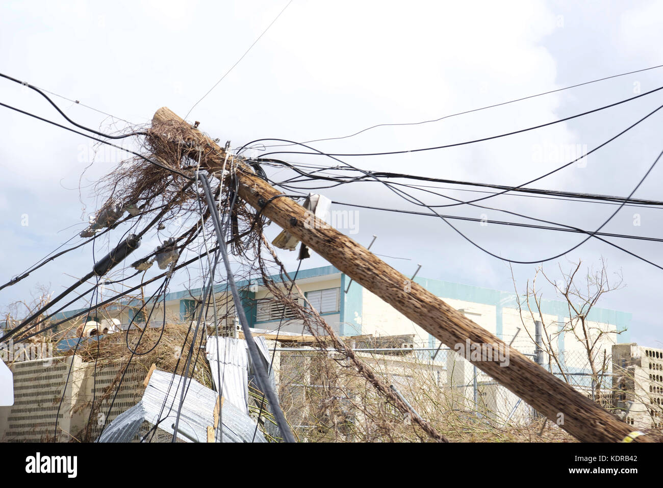 Downed power lines hi-res stock photography and images - Alamy