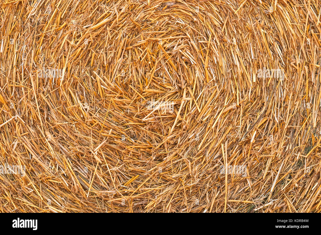 Straw Hay Background Stock Photo Alamy