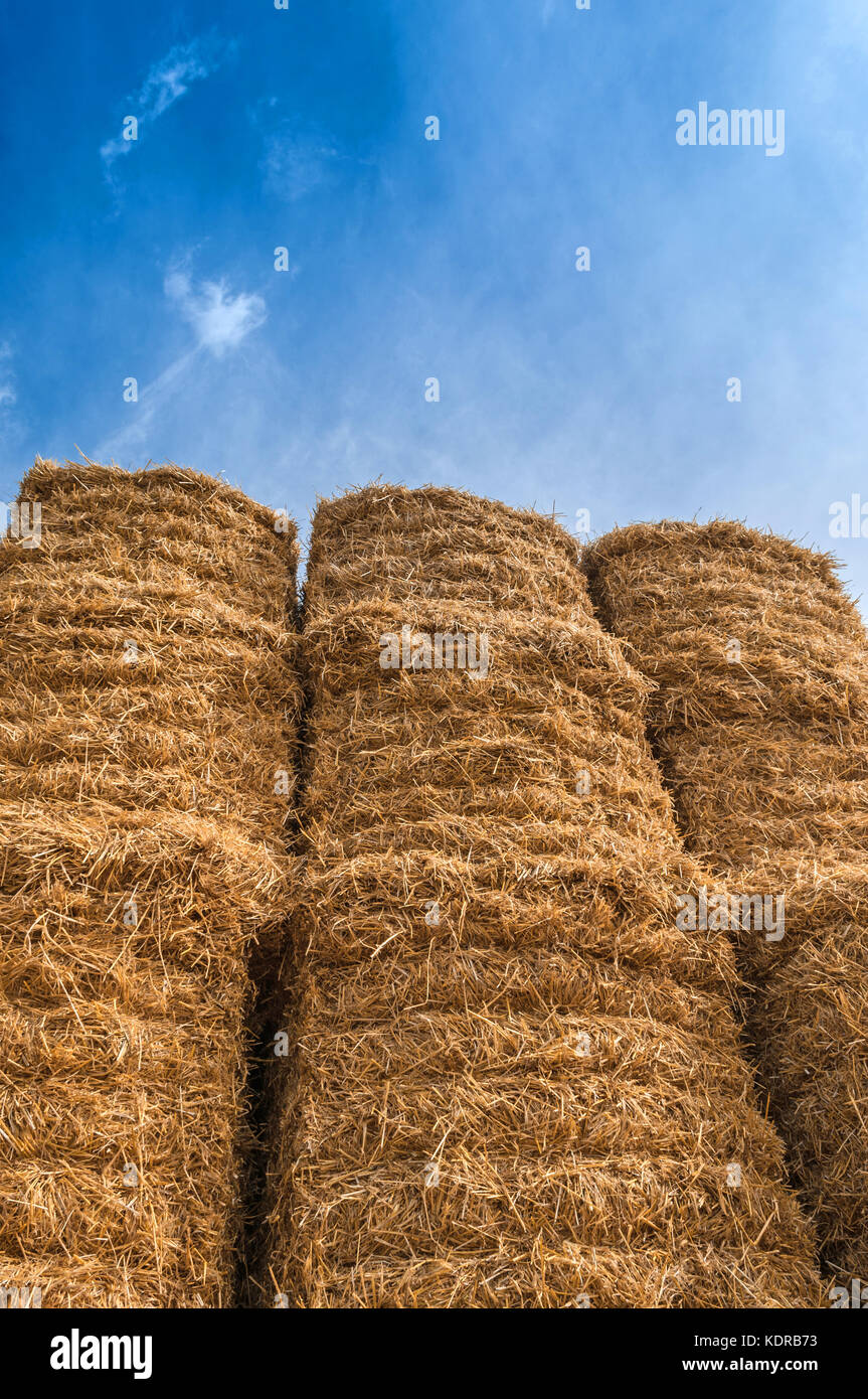 Bale of Hay Straw, Blue Sky Stock Photo - Alamy